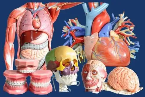 Ultralloy 200 Series Group